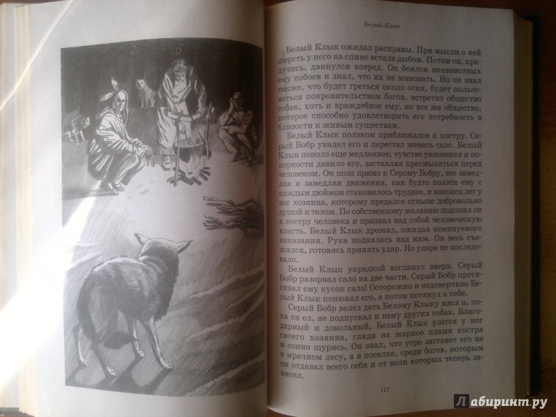 Иллюстрация 6 из 8 для Белый клык: Повесть, рассказы - Джек Лондон | Лабиринт - книги. Источник: s3iorus