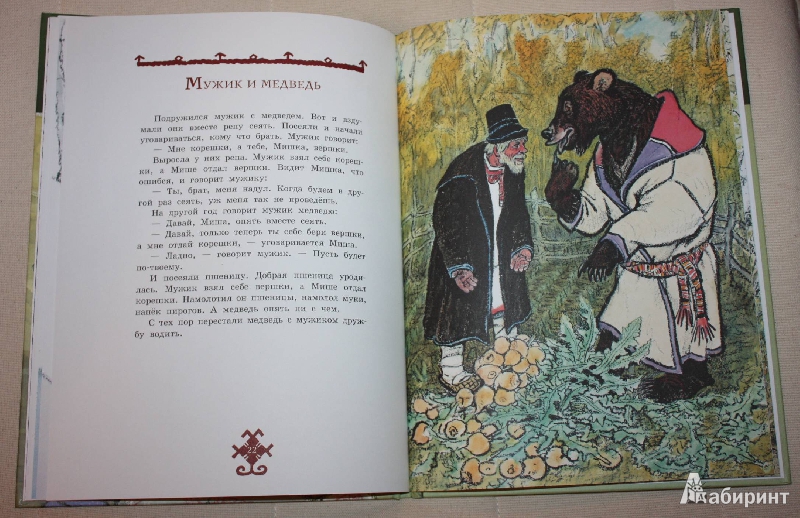 Иллюстрация 8 из 44 для Три медведя. Сказки про зверей | Лабиринт - книги. Источник: Михайлова Алексия