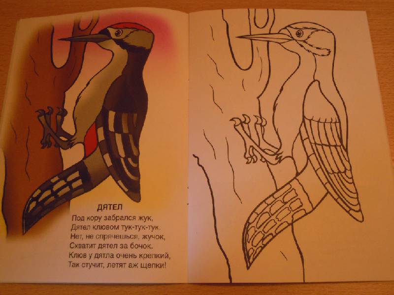 Иллюстрация 7 из 10 для Ребятам о зверята - Татьяна Коваль | Лабиринт - книги. Источник: Iwolga
