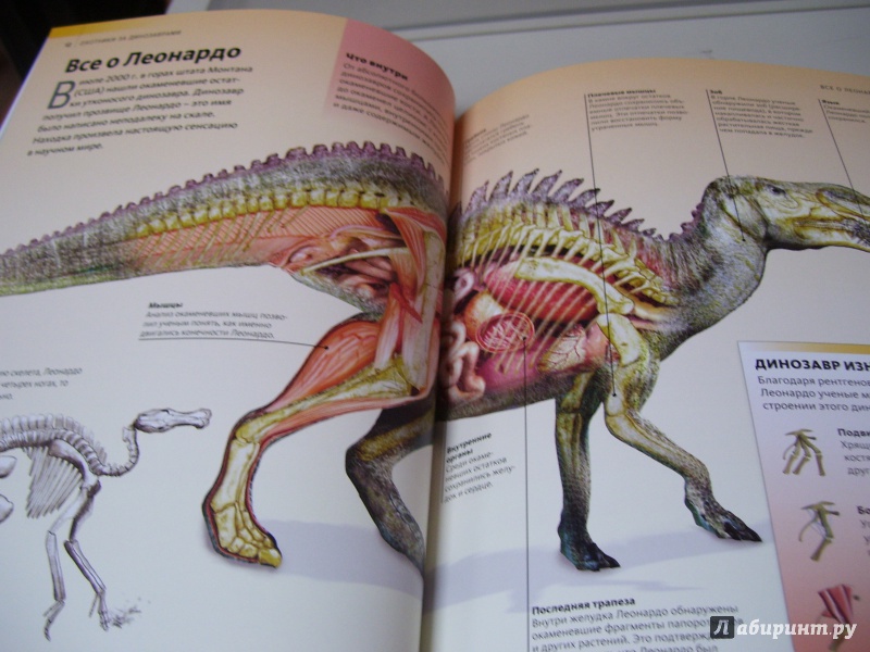 Иллюстрация 23 из 39 для Охотники за динозаврами | Лабиринт - книги. Источник: КошкаПолосатая