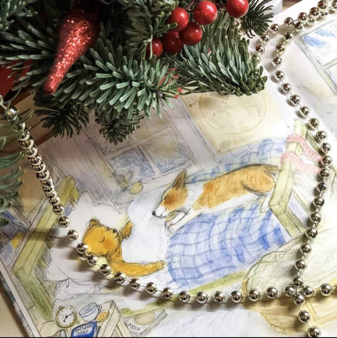 Иллюстрация 52 из 54 для Зима мишки Бруно - Гунилла Ингвес | Лабиринт - книги. Источник: Ситникова  Елена Игоревна