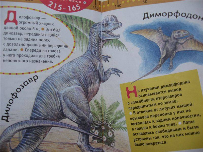 Иллюстрация 2 из 8 для Динозавры и доисторический мир | Лабиринт - книги. Источник: Юта