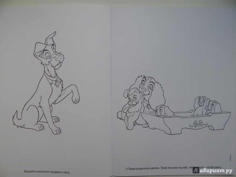 Иллюстрация 9 из 33 для Волшебная раскраска. Леди и бродяга (№14023) | Лабиринт - книги. Источник: Мелкова  Оксана