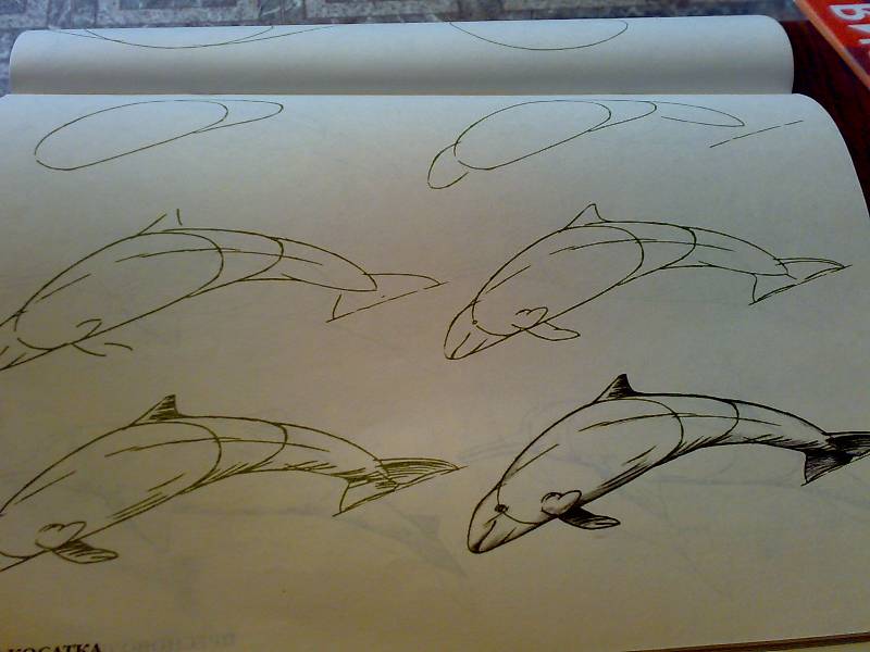 Иллюстрация 33 из 33 для Рисуем 50 акул, китов и других морских животных - Эймис, Бадд | Лабиринт - книги. Источник: Юлия7