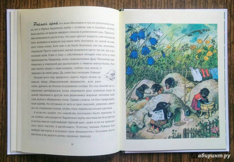 Иллюстрация 75 из 80 для Крапинка - Эрих Хайнеманн | Лабиринт - книги. Источник: Natalie Leigh