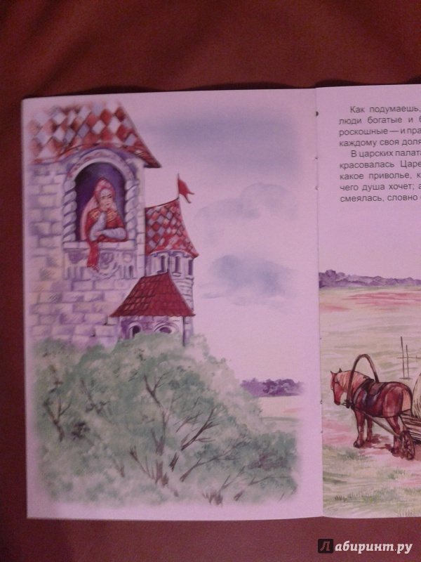 Иллюстрация 18 из 23 для Царевна-несмеяна | Лабиринт - книги. Источник: Луганская  Aнна
