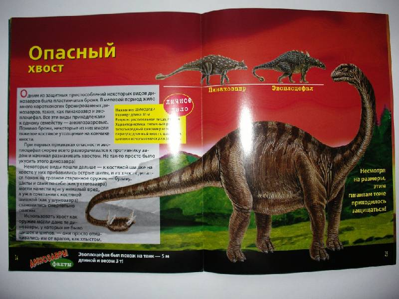 Иллюстрация 3 из 4 для Динозавры. Книжка со светящимися наклейками | Лабиринт - книги. Источник: Tiger.