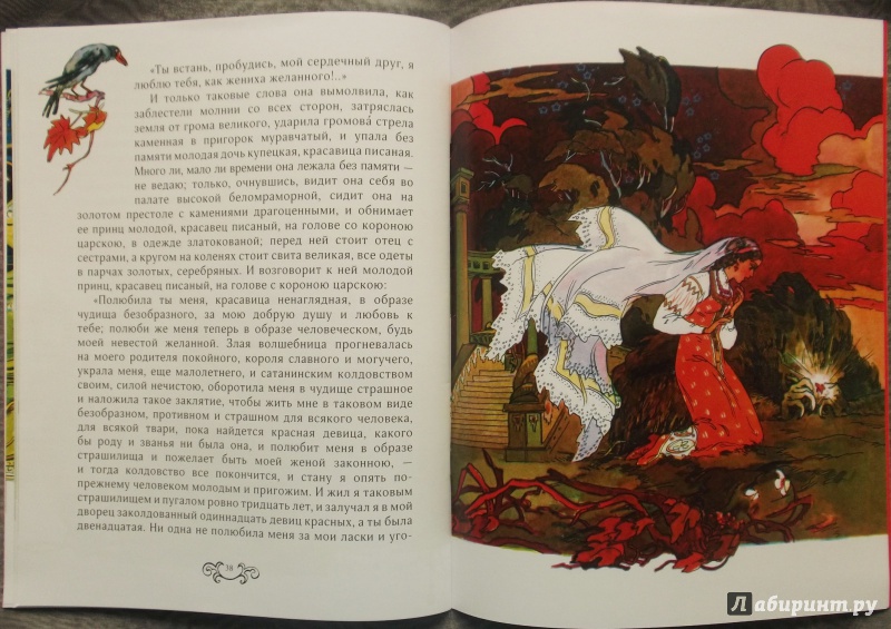 Иллюстрация 48 из 49 для Аленький цветочек - Сергей Аксаков | Лабиринт - книги. Источник: Агаточка