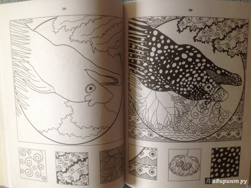 Иллюстрация 8 из 23 для Загадочный океан. Один день - один зендудл - Екатерина Иолтуховская | Лабиринт - книги. Источник: Kabachok
