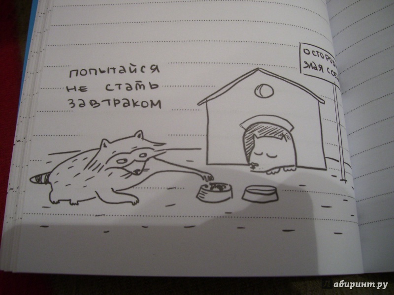 Иллюстрация 15 из 39 для Блокнот "Один день из жизни енота. Сны и котики" | Лабиринт - канцтовы. Источник: Антон