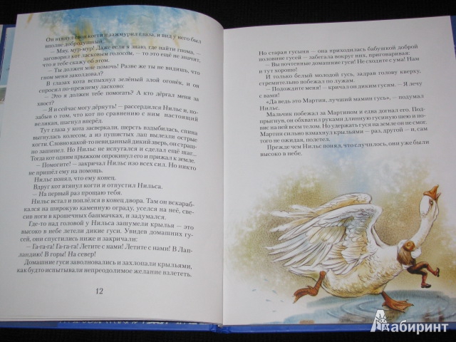 Иллюстрация 20 из 30 для Чудесное путешествие Нильса с дикими гусями - Сельма Лагерлеф | Лабиринт - книги. Источник: Nemertona