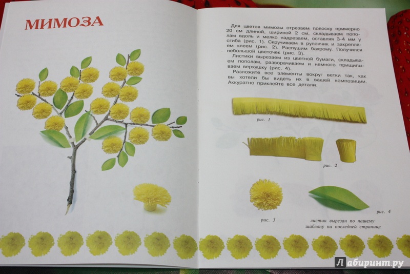 Иллюстрация 3 из 5 для Чудо-дерево. Природный материал - С. Савушкин | Лабиринт - книги. Источник: Ksuh