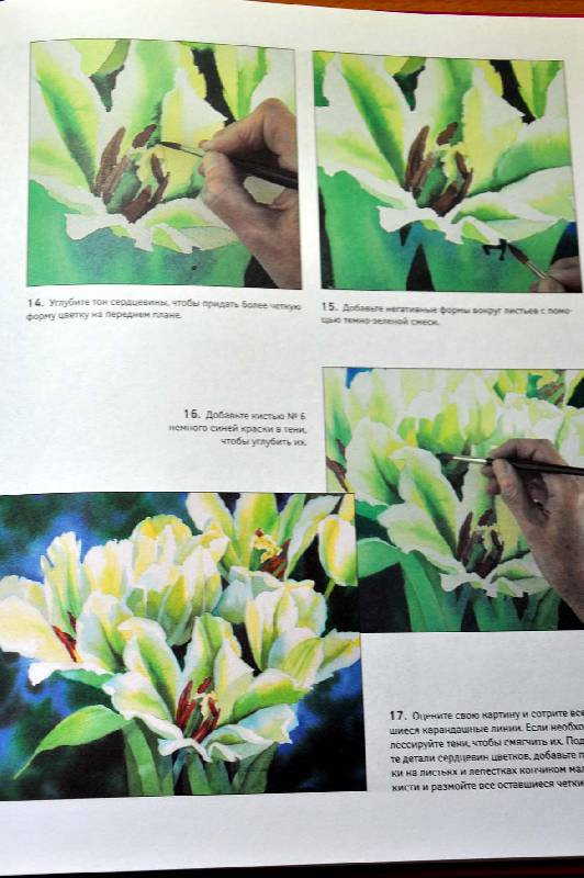 Иллюстрация 9 из 26 для Рисуем цветы акварелью - Жанет Уиттл | Лабиринт - книги. Источник: Ассоль