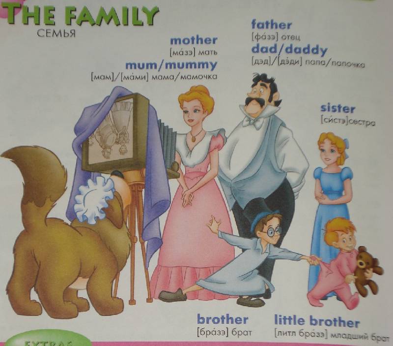 Английские семьи названия. Семья на английском языке с транскрипцией. Словарь семья на английском. Родственники на английском языке с транскрипцией.