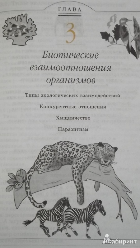 Иллюстрация 13 из 43 для Экология. 10 (11) класс. Учебник - Криксунов, Пасечник | Лабиринт - книги. Источник: Elena_111