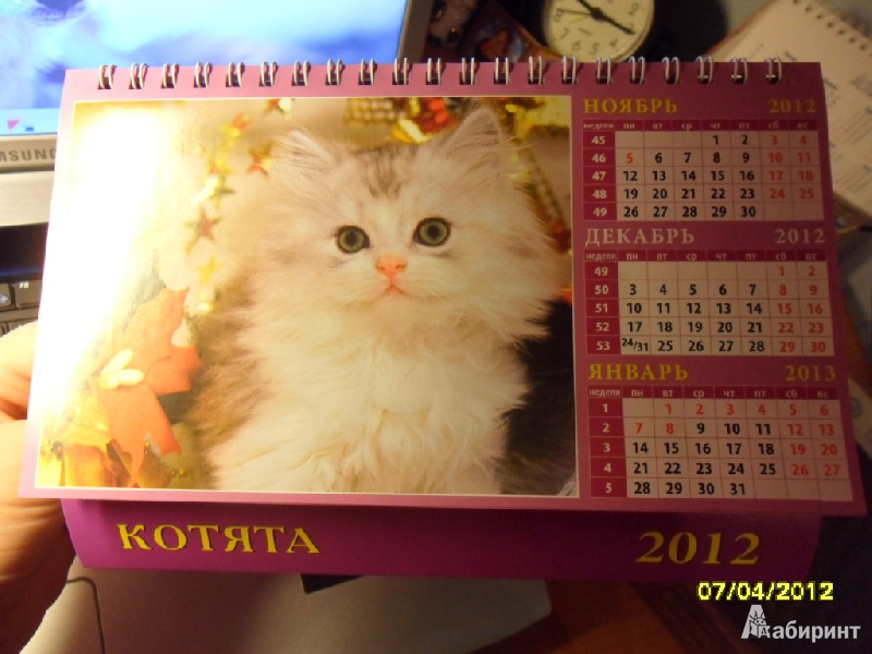 Иллюстрация 3 из 3 для Календарь 2012 "Котята" (19209) | Лабиринт - сувениры. Источник: Ankosik