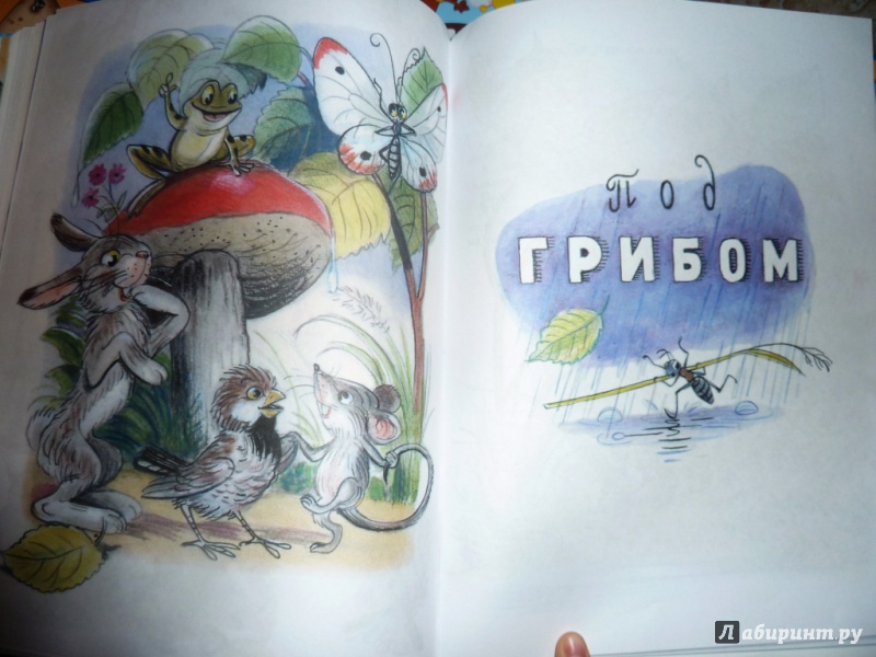 Иллюстрация 32 из 37 для Сказки и картинки В.Сутеева - Владимир Сутеев | Лабиринт - книги. Источник: настя тимарг