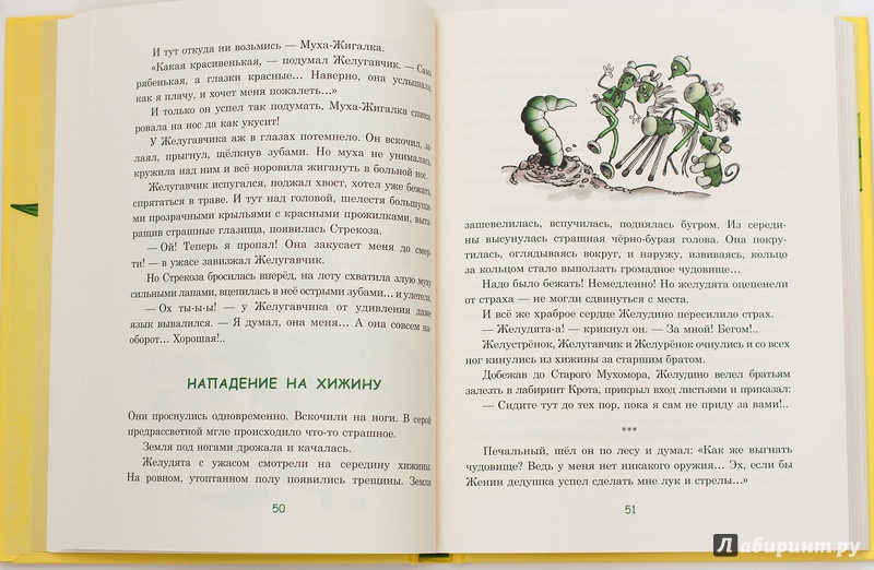 Иллюстрация 57 из 64 для Восемь волшебных желудей, или Приключения Желудино и его младших братьев - Юрий Дьяконов | Лабиринт - книги. Источник: Букландия