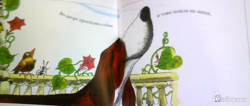 Иллюстрация 11 из 55 для Рыжая курочка | Лабиринт - книги. Источник: ОксанаШ