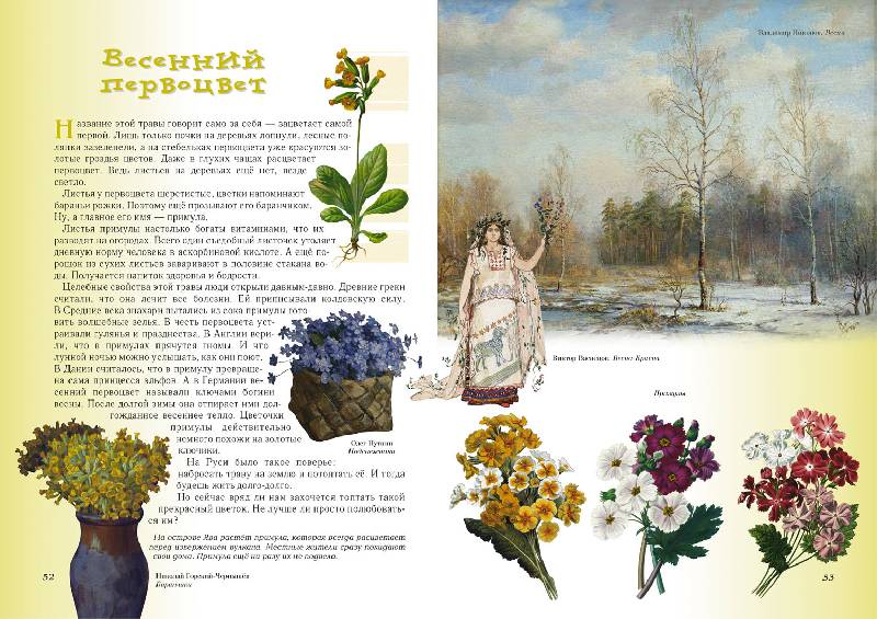 Иллюстрация 8 из 94 для Прогулки по лесу - Сергей Махотин | Лабиринт - книги. Источник: Лана
