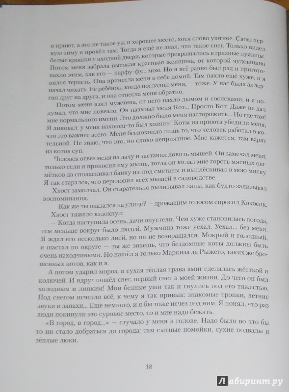 Иллюстрация 31 из 81 для КотоФеи - Ольга Фадеева | Лабиринт - книги. Источник: Штерн  Яна