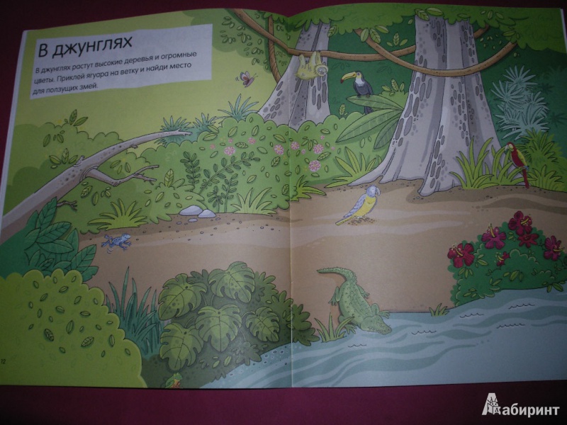 Иллюстрация 11 из 23 для Животные. Книга с наклейками (для детей от 4-х лет) | Лабиринт - книги. Источник: Tiger.