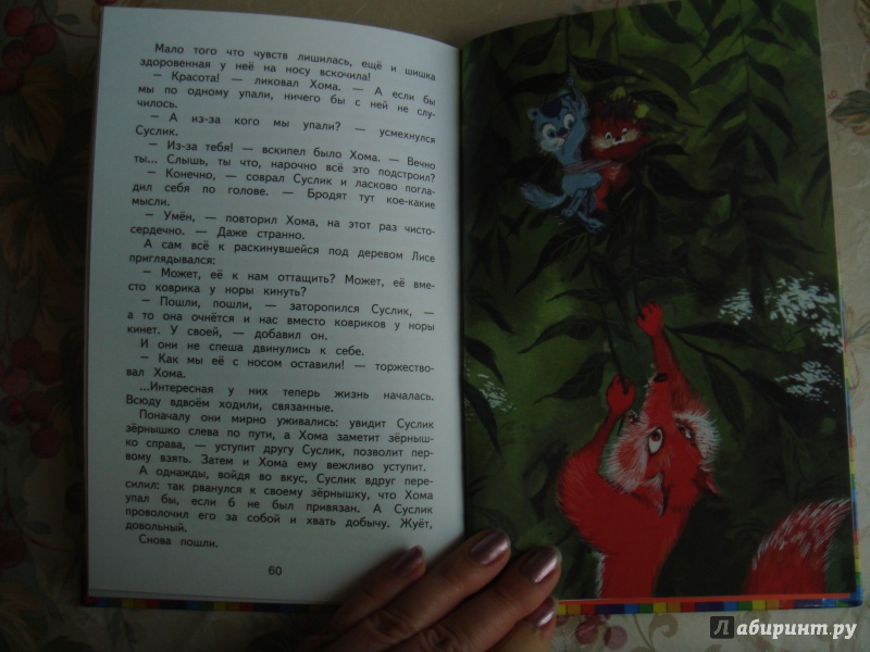 Иллюстрация 29 из 48 для Приключения Хомы и Суслика - Альберт Иванов | Лабиринт - книги. Источник: Волкова  Алена