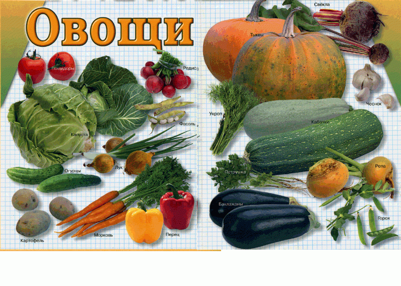 Иллюстрация 2 из 2 для Овощи. Демонстрационный материал для фронтальных занятий | Лабиринт - книги. Источник: РИВА