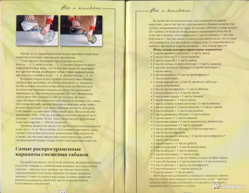 Иллюстрация 5 из 5 для Всё о кальяне - Феликс Ручаевский | Лабиринт - книги. Источник: Полина Т.