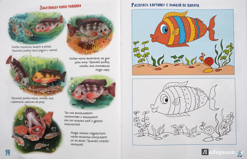Иллюстрация 20 из 25 для Детсад для зверят. Книжка с многоразовыми наклейками | Лабиринт - книги. Источник: Лабиринт