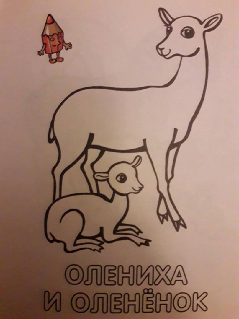 Иллюстрация 30 из 33 для Раскраска для малышей. Родители и детки. Тигрята | Лабиринт - книги. Источник: Романцова Алсу