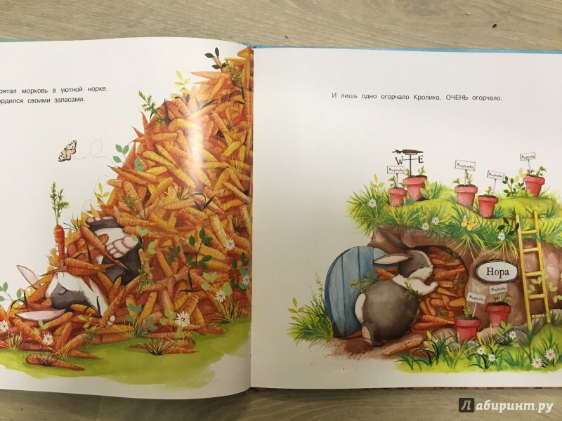 Иллюстрация 21 из 49 для Слишком много моркови - Кэти Хадсон | Лабиринт - книги. Источник: Nastya Shipacheva