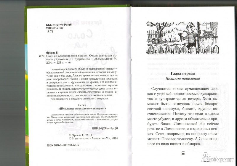 Иллюстрация 13 из 39 для Соло на водонапорной башне - Евгения Ярцева | Лабиринт - книги. Источник: Натка-Натка