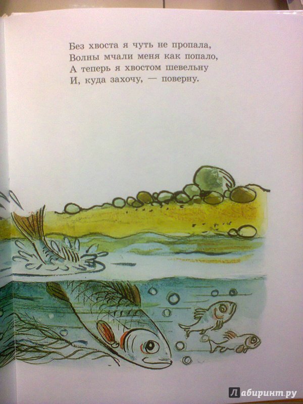 Иллюстрация 15 из 58 для Любимые сказки в рисунках В. Сутеева - Прейсн, Муур, Кипинс | Лабиринт - книги. Источник: R.O.S.S.