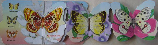 Иллюстрация 2 из 2 для Бабочки | Лабиринт - книги. Источник: Зарудная Нина Георгиевна