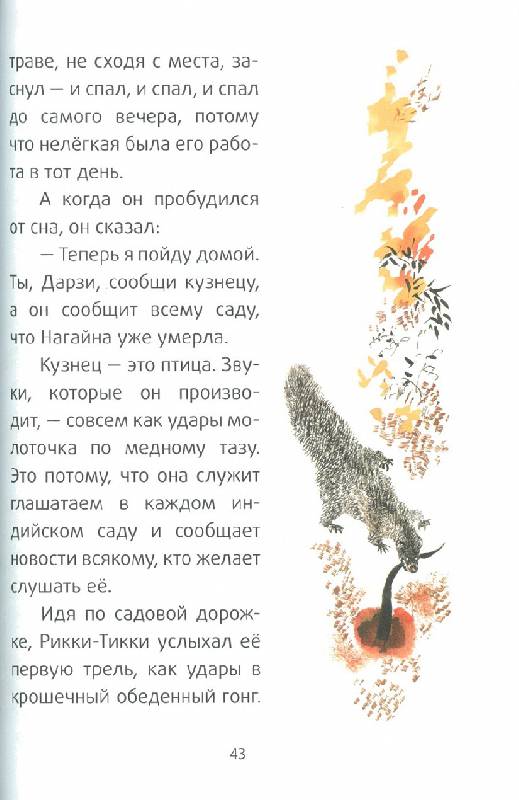 Иллюстрация 13 из 15 для Рикки-Тикки-Тави - Редьярд Киплинг | Лабиринт - книги. Источник: bel-k