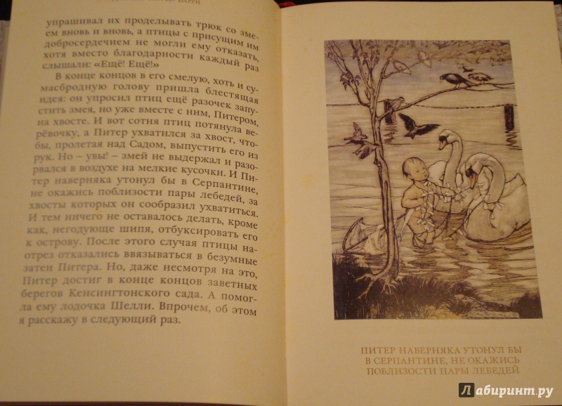 Иллюстрация 22 из 35 для Питер Пэн в Кенсингтонском саду - Джеймс Барри | Лабиринт - книги. Источник: Butyavka