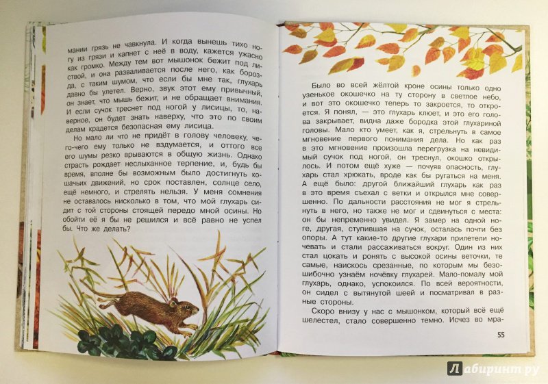 Иллюстрация 21 из 70 для Рассказы о природе - Михаил Пришвин | Лабиринт - книги. Источник: Катерина Громова