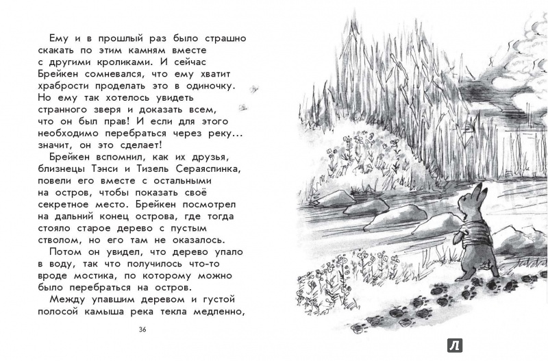 Иллюстрация 12 из 34 для Дикий зверь - Джорджи Адамс | Лабиринт - книги. Источник: Редактор этой книги