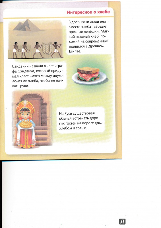 Иллюстрация 6 из 37 для Удивительные превращения. Как производят продукты питания - Марина Султанова | Лабиринт - книги. Источник: Террил