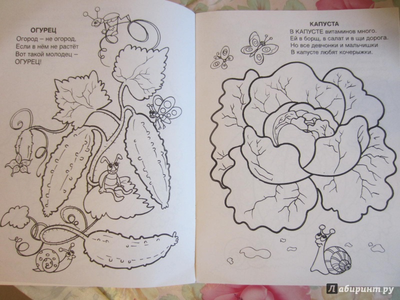 Иллюстрация 4 из 6 для Овощи и фрукты - Юрий Чичев | Лабиринт - книги. Источник: Лабиринт