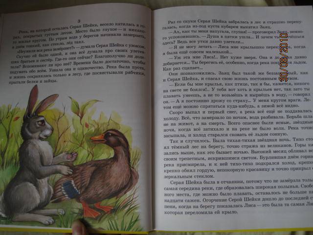 Иллюстрация 15 из 55 для Сказки о животных для малышей - Мамин-Сибиряк, Толстой, Ушинский | Лабиринт - книги. Источник: васина лариса игоревна