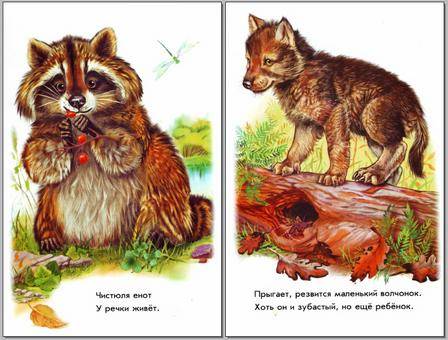 Иллюстрация 7 из 21 для В лесу - Олеся Квитка | Лабиринт - книги. Источник: CDRom