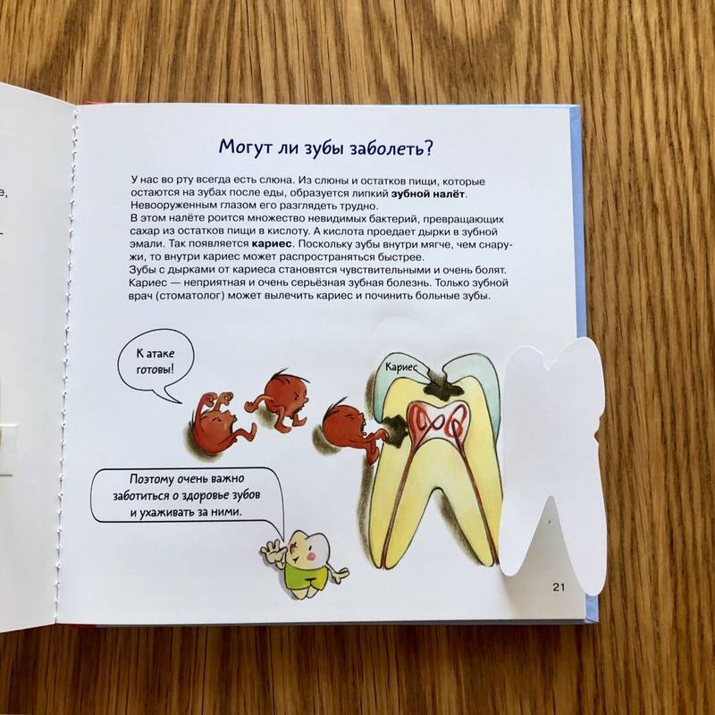 Иллюстрация 85 из 145 для Зубная книга. Все о твоих молочных зубах - Ивона Радюнц | Лабиринт - книги. Источник: S  Victoria