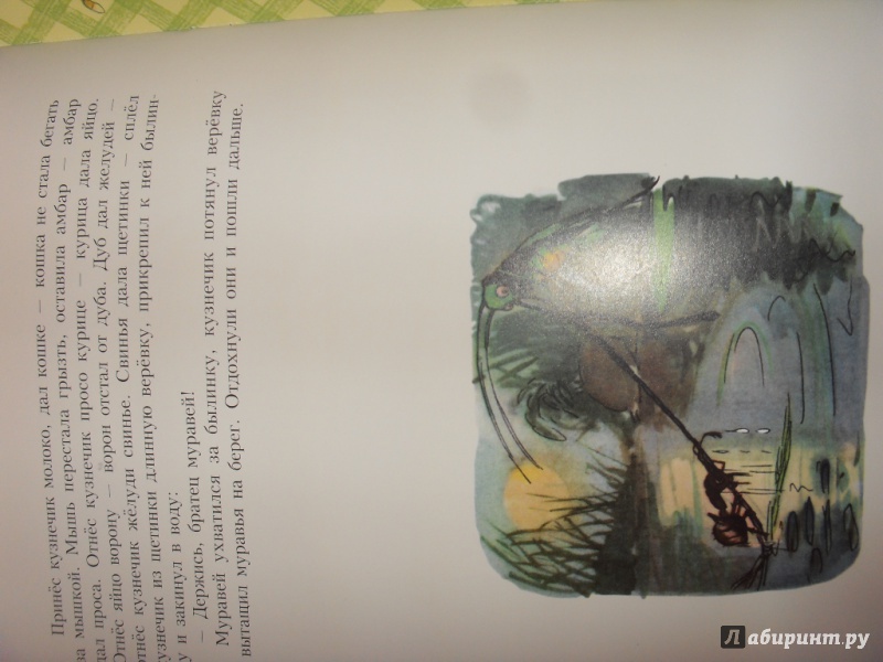 Иллюстрация 33 из 42 для Кузнечик и муравей | Лабиринт - книги. Источник: anet bleik