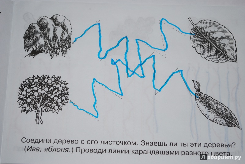Иллюстрация 17 из 28 для Рисуем по линиям. Для детей 3-4 лет (зеленая) - Елена Шабурова | Лабиринт - книги. Источник: Нади