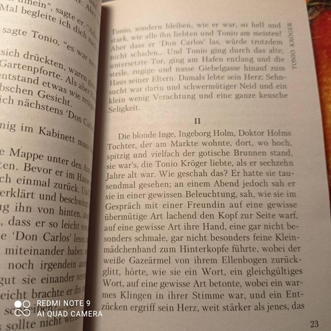 Иллюстрация 9 из 21 для Tonio Kroger. Deutsche novellen des 20 - Mann, Рот, Шницлер | Лабиринт - книги. Источник: SPQR