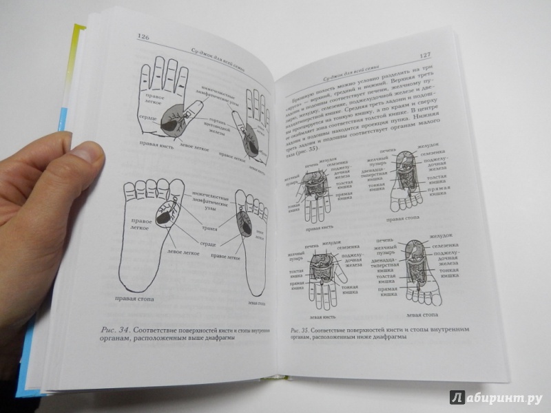 Иллюстрация 7 из 22 для Целительные точки на ступнях и ладонях. Су-джок для всей семьи | Лабиринт - книги. Источник: dbyyb