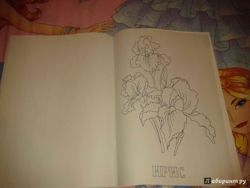 Иллюстрация 1 из 15 для Раскраски с прозрачными страницами "Цветы" (35918) | Лабиринт - книги. Источник: ханушка