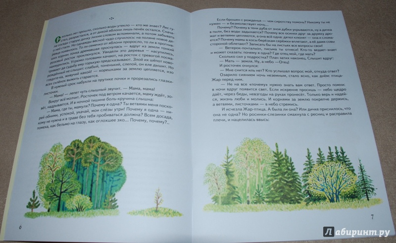 Иллюстрация 6 из 12 для Дикие яблони - Ирина Клышевская | Лабиринт - книги. Источник: Книжный кот